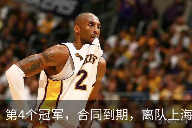 第4个冠军，合同到期，离队上海？张镇麟下家3选1，妻子成关键